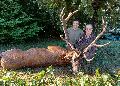 5. Rm szeptember 09. A kisr: Lukcs Kroly. Elejt: Maryse Violette  8,36 kg. CIC: 199,36 Ezstrmes 7 ves.