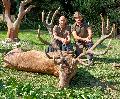 7. szeptember 11. Babosdbrte. A kisr: Rabi Attila elejt: Schitzenhofer Josef 8,78kg. CIC 201,13 ezstrmes. 8 ves.
