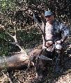10. Szeptember 11. Nagylengyel. Az elejt: Petz Evald 7,09 kg. CIC 190,82 7 ves Ezstrmes