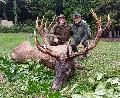 15. Szeptember 12. Kknyesmindszent. Az elejt: Eibner Wilhelm Kisr Kerekes Sndor a Vt. elnke. 11,18 kg CIC 225,34 10 ves aranyrmes