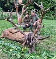 18. szeptember 15. Gombosszeg. Az elejt: Landlinger Josef Kiisr: Dukai Imre. 7,54 kg. CIC 192,6 6 ves